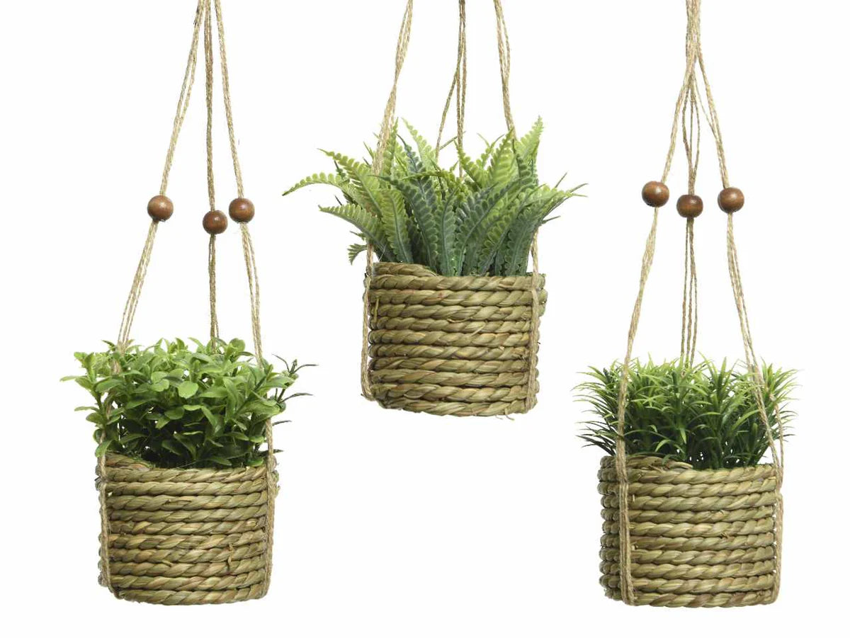 Pianta in Vaso Appendibile 8x8x12cm Kaemingk - Decorazione Elegante e Versatile Pianta in Vaso Appendibile 8x8x12cm Kaemingk - Decorazione Elegante e Versatile